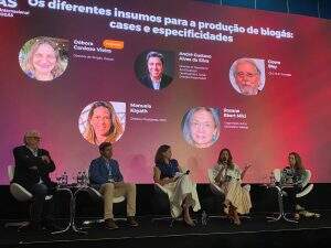 Manuela Kayath, diretora presidente da MDC, durante painel no evento